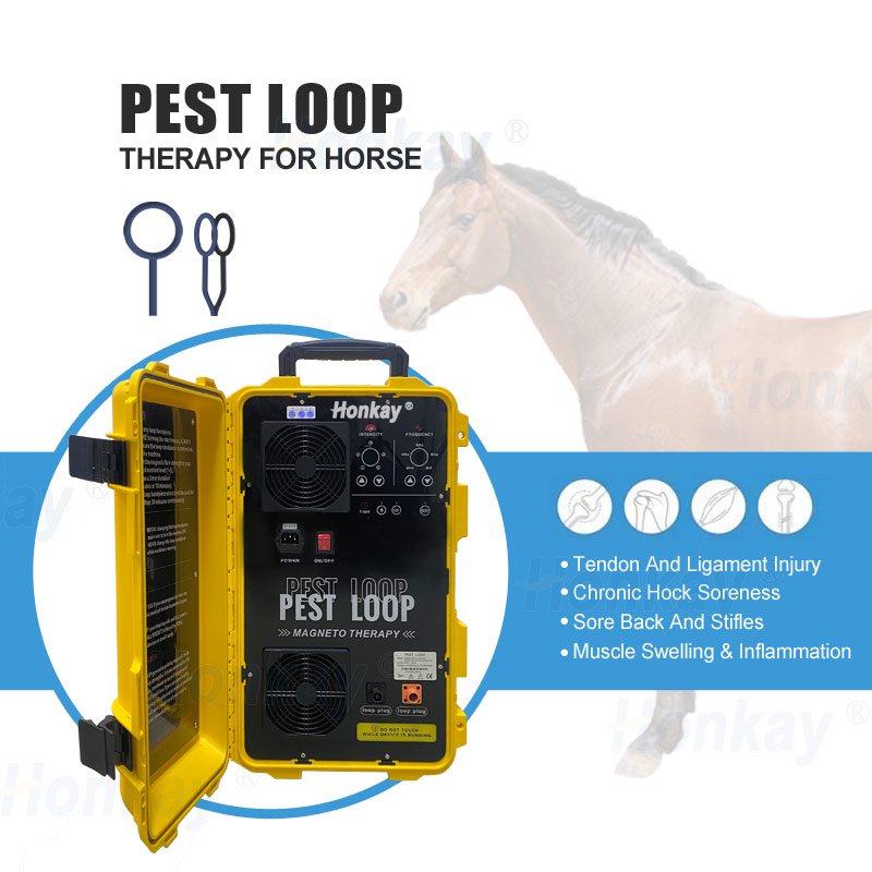 Veterinary Instrument Horse Horse Veterinary Equipment Wave for Horse